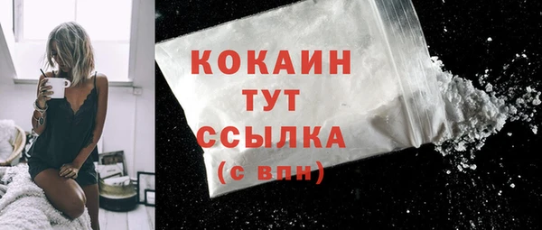 хмурый Верея