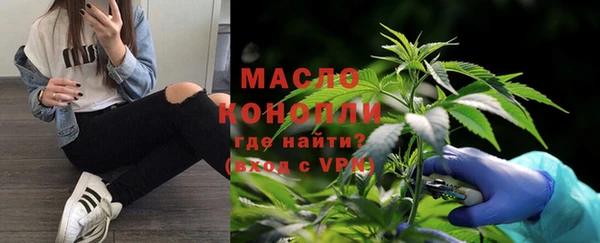 хмурый Верея
