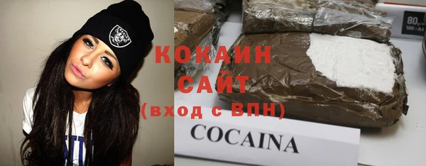 PSILOCYBIN Бронницы