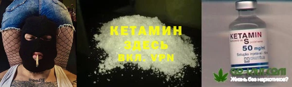 хмурый Верея
