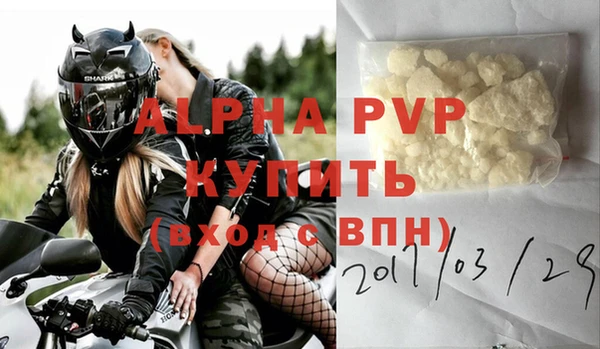 хмурый Верея