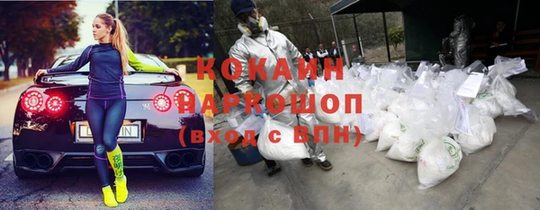 хмурый Верея