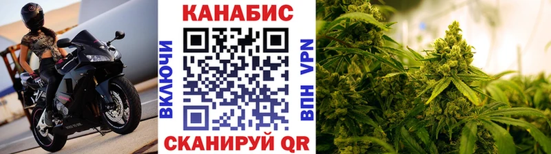 Шишки марихуана гибрид Черноголовка